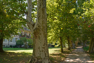 wohnhaus im kurpark bad-weilbach