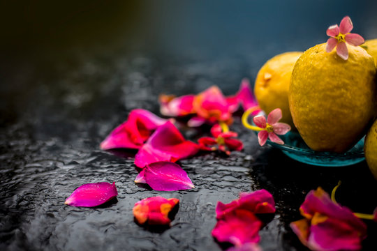 Raw organic guava or amrut or amarood in Hindi language on black shinny surface in a blue-colored plate with some rose petals.