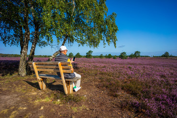 Lüneburger Heide  - Heidelandschaft