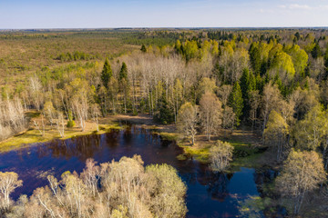 Sunset in the bog, golden marsh, lakes and nature environment. Sundown evening light in spring
