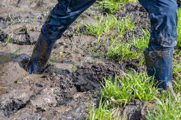 Junge mit blauen Gummistiefeln ist bei einer Wattwanderung am Ufer in den Schlick eingesunken und steckt mit seinen Stiefeln im Watt fest