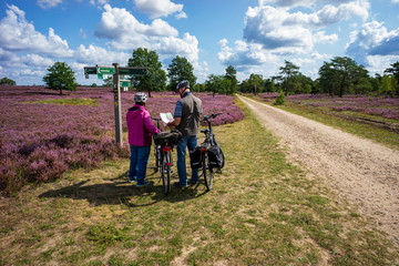 Lüneburger Heide  - Heidschnuckenweg