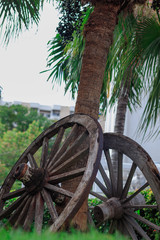 wheel of old wooden wagon