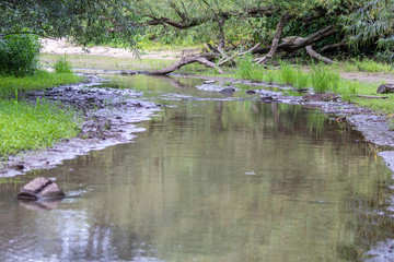 Idyllischer Flusslauf eines Altarms des Rheins mit schönem Flussdelta und Flussmündung bietet ein schönes Naherholungsgebiet für Familien mit Kindern zum Entdecken der Natur und des Wassers