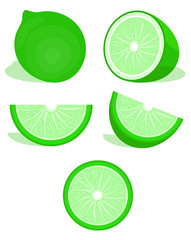 Lime citrus set