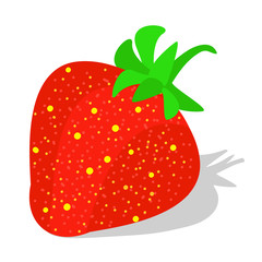 Garden strawberry fruit 