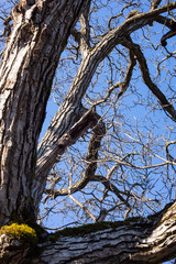 Nature and culture of Georgia