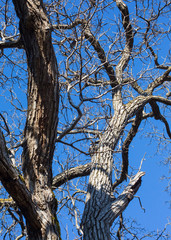 Nature and culture of Georgia