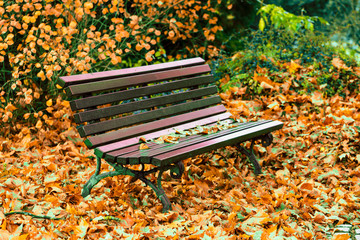 Bank stands in autumn leaves on rainy day