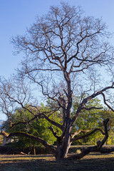 Fototapeta premium Nature and culture of Georgia