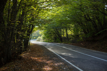 Obraz premium Nature and culture of Georgia