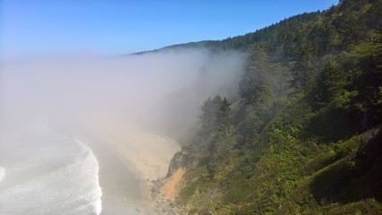Foggy Oregon Coast