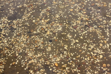Small stones in the sand under the clear water on the beach, texture for the background