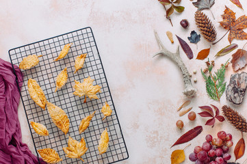 Leaves shape cookies near nature details on beige concrete backround