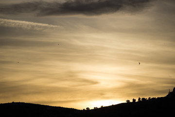 sunset with a sky of warm clouds and flying birds