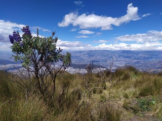 Quito - Teleférico