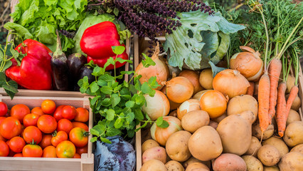 Fototapeta na wymiar Boxes with seasonal vegetables at the Farmer's Market counter, top view