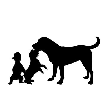 Vector silhouette of dogs on white background. Symbol of animal, pet, group, friends.