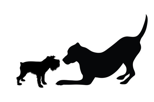 Vector silhouette of dogs on white background. Symbol of animal, pet, couple, friends.