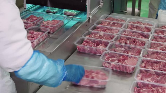 Packing of meat slices in boxes on a conveyor belt