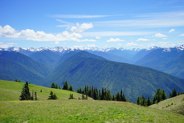 Beautiful mountains in Olympic National Park in summer in Washington, near Seattle	