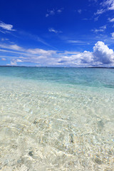 透明で美しい沖縄の海