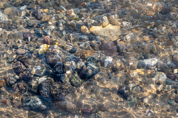 Klares Felsquellwasser fließt von der Quelle in einen Bach und später in einen klaren Fluss mit...