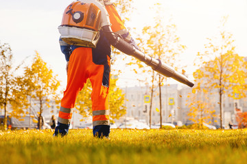 Leaf blower Male worker removes leaves lawn of garden autumn