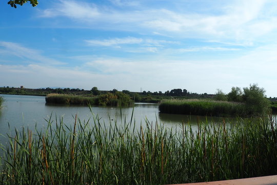 estanque de ivars y vilasana, espacio de la biosfera, lerida, espa&ntilde;a