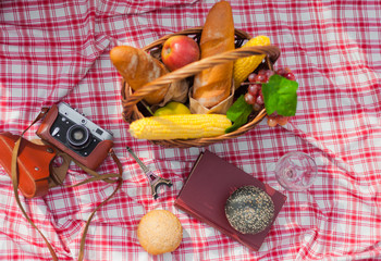 Obraz na płótnie Canvas French retro style picnic. Basket with fruit, baguette, book, retro camera on a checkered red tablecloth outdoors