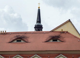 Obraz premium windows in a tiled roof like the eyes