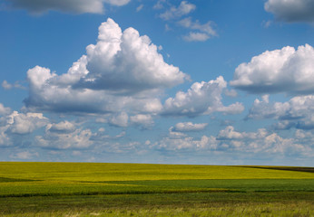 white clouds against blue sky and field to horizon