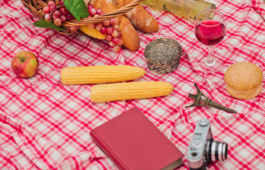 French retro style picnic. Basket with fruit, baguette, book, retro camera on a checkered red tablecloth outdoors