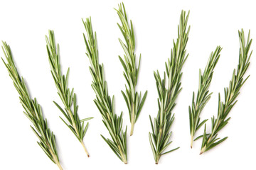 Top view of Rosemary isolated on white background