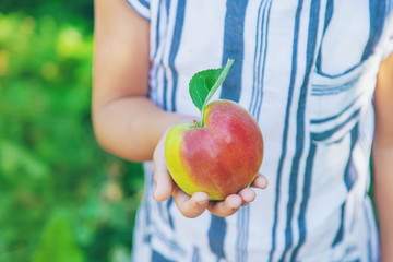 child with an apple in the garden. Selective focus.