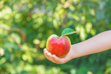 child with an apple in the garden. Selective focus.