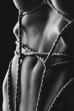 Kinbaku female body tied up with rope