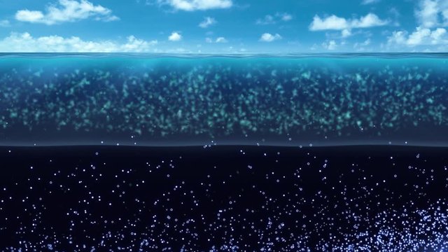 A computer simulation of Diatom algae getting nutrients, 2019