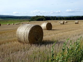 Hay bale in farmers area called Tysslingen