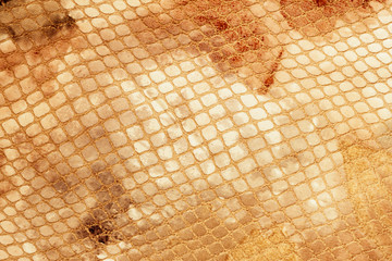 Snakeskin pattern on genuine leather close-up, imitation of exotic reptile, surface of beige brown...