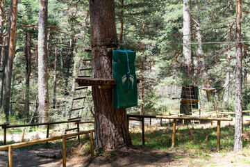High wire attraction in coniferous forest
