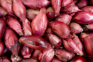 basket of red onions from Tropea, long, round, typical Italian variety, sweet, at local vegetable market, agriculture, food, diet, vitamins, nourishment, nutrition, summer, background, Milan, Italy