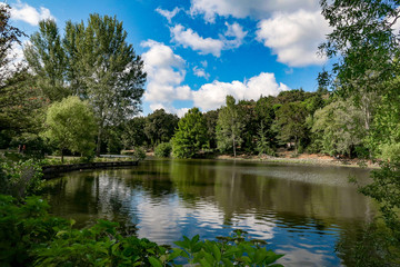Fototapeta na wymiar View of a perfect lake in the forest
