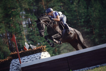 black horse with woman rider jumping over obstacle during eventing cross country competition in...