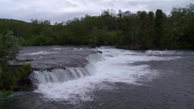 Falls on brooks river in Katmai National Park, Alaska