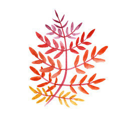Beautiful ornamental decorative watercolor hand drawn leaf of yellow, orange, red colors on a white background, isolated