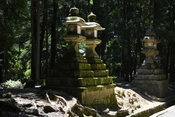 Ancient stone lanterns in Nara park, Japan