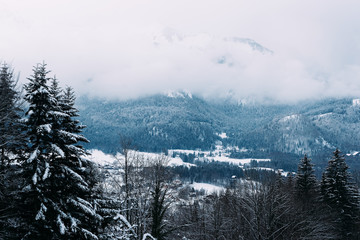 Scenery with snow winter landscape Bad Goisern Austria Alpine mountains