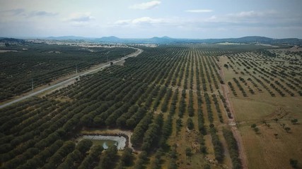 Aerial view of a farm field with a water tank. and a road Alentejo Portugal. Drone view