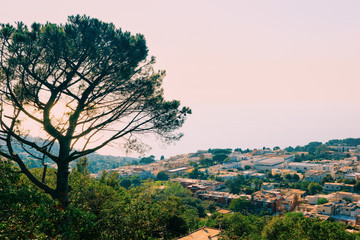 Cityscape with house architecture on Capri Island at Naples Italy
